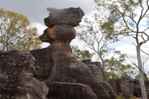 Litchfield National Park